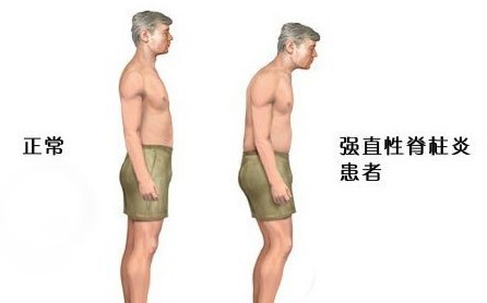ʪӦôԲŶԼ