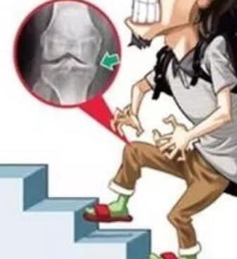 ʪҽԺרҸʪǵ