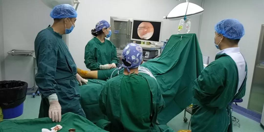 我院举办京广豫三甲医院专家痛风、类风湿疑难病例学术交流会议 我院举办京广豫三甲医院专家痛风、类风湿疑难病例学术交流会议