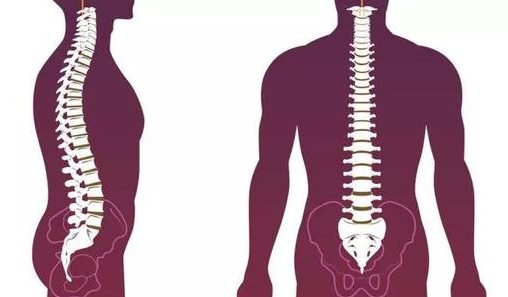 南阳强直专科医院介绍强直性脊柱炎是如何发病的?